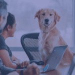 Dog sitting on a chair looking at laptop