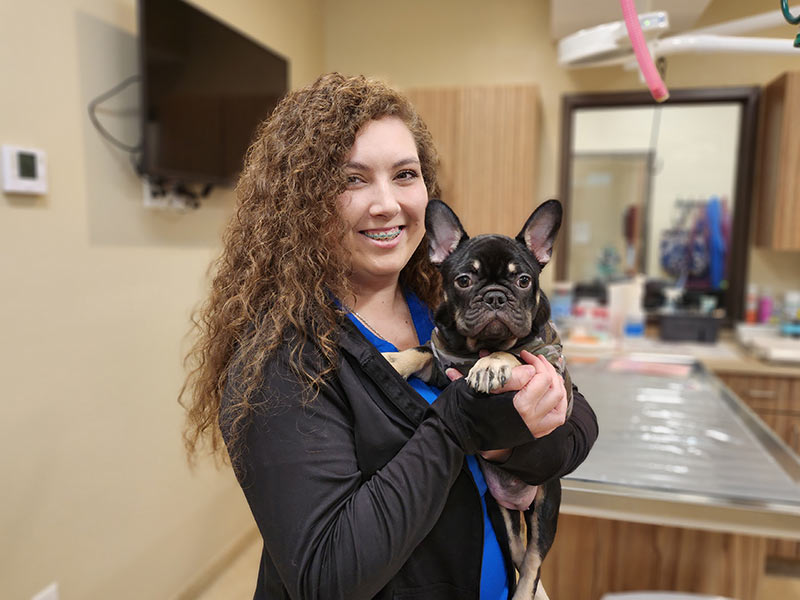 veterinary team member smiling and holding black frenchie