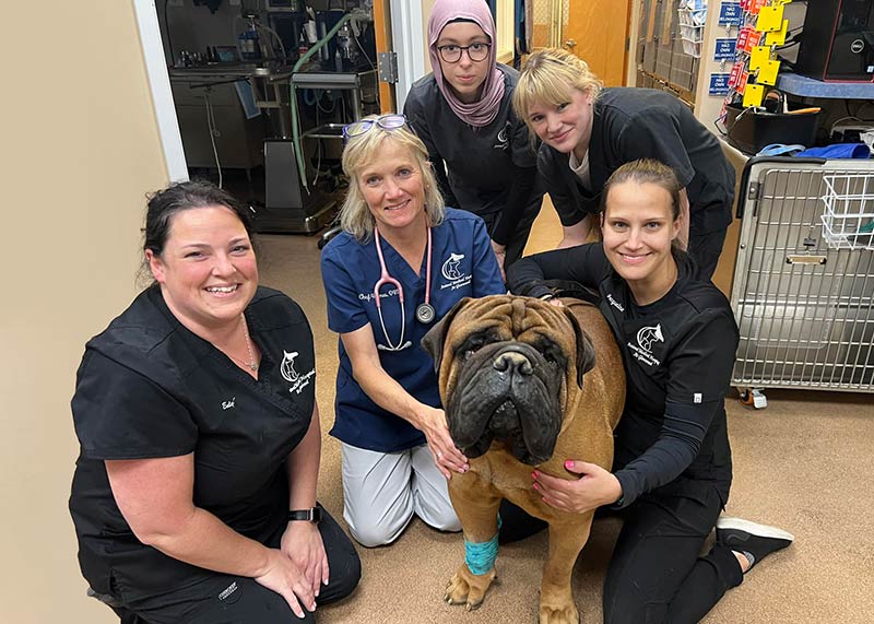 cheerful veterinary staff posing with a canine patient